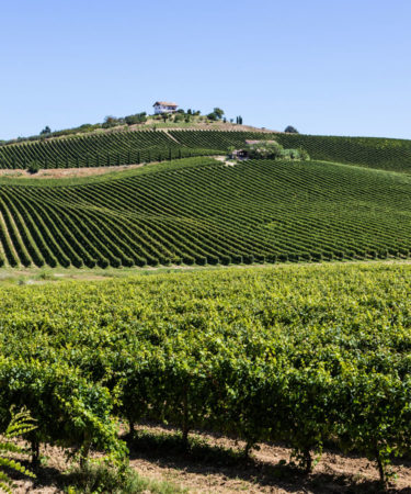 Why You Should Get to Know the Wines of Abruzzo