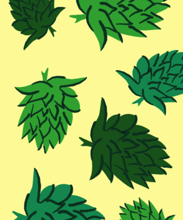We Asked 14 Beer Pros: What Will Be the Next Big Hop?