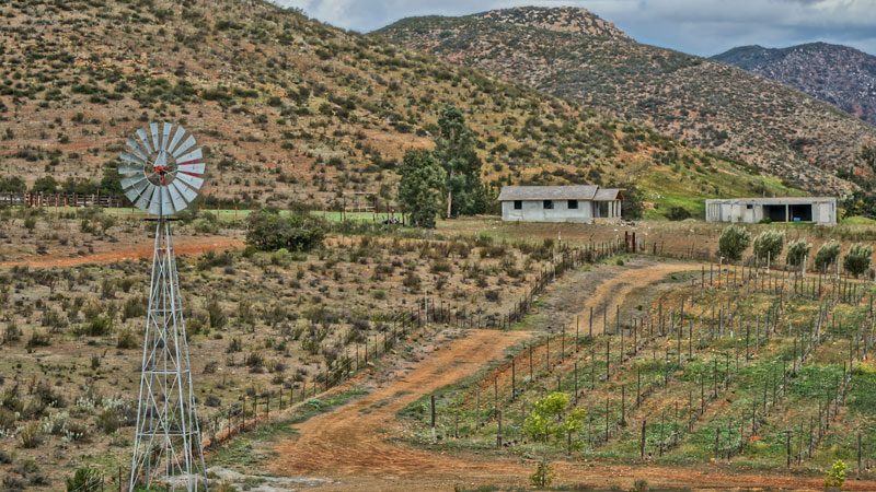Valle de Guadalupe is one of the top 10 wine travel destinations for 2020.
