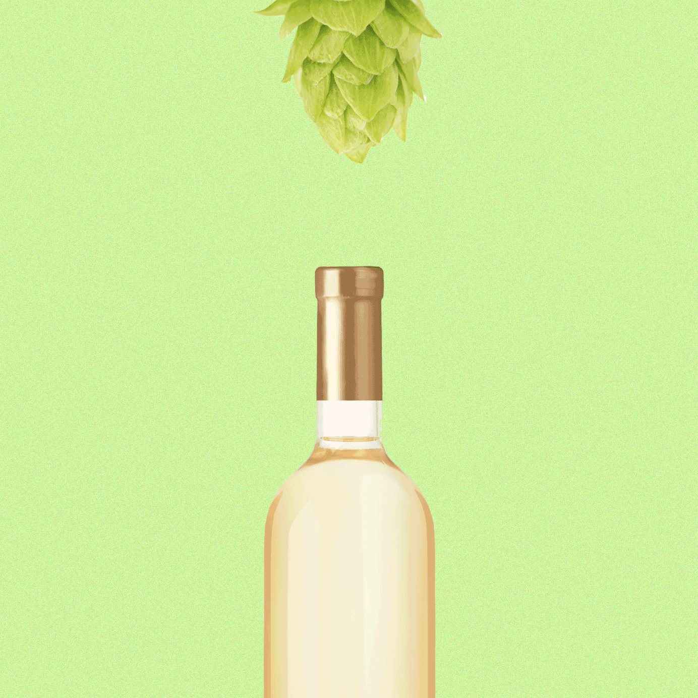Why Innovative Winemakers Are Adding Hops to Wine