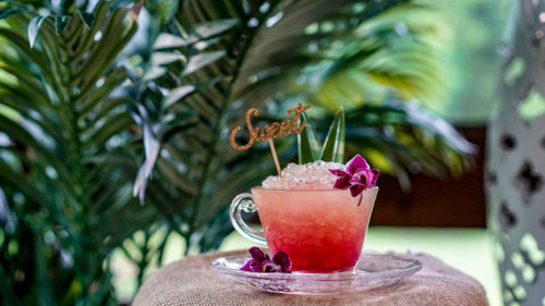 Our 11 Most Popular Tropical Cocktail Recipes Vinepair