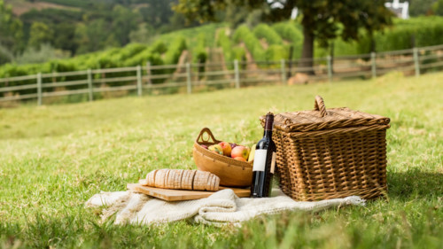 Everything You Need To Have A Wine & Cheese Picnic In Your Backyard