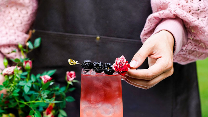 The Rosé Blackberry Spritz is a great Aperol Spritz variation