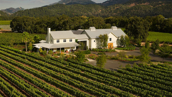 Why Cabernet Franc Is on the Rise in Napa | VinePair