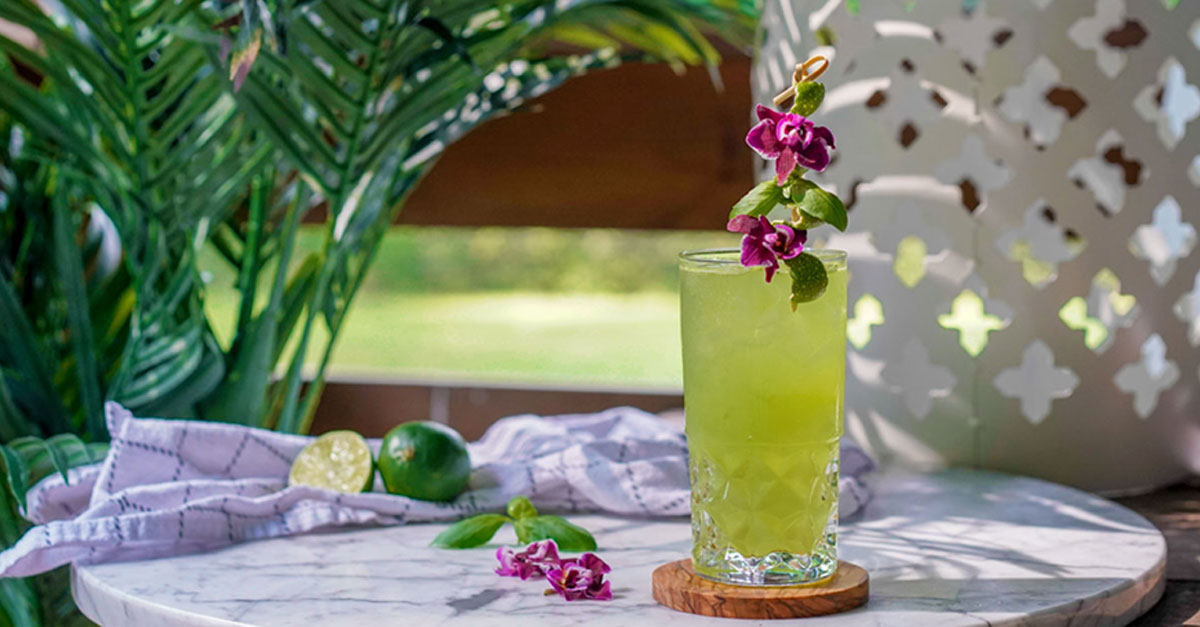 10 of the Best Summer Gin Highball Recipes VinePair