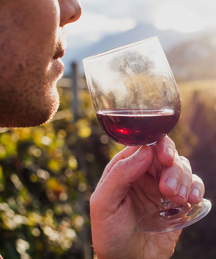 We Asked 15 Wine Pros Which Bordeaux Offers the Best Bang for Your