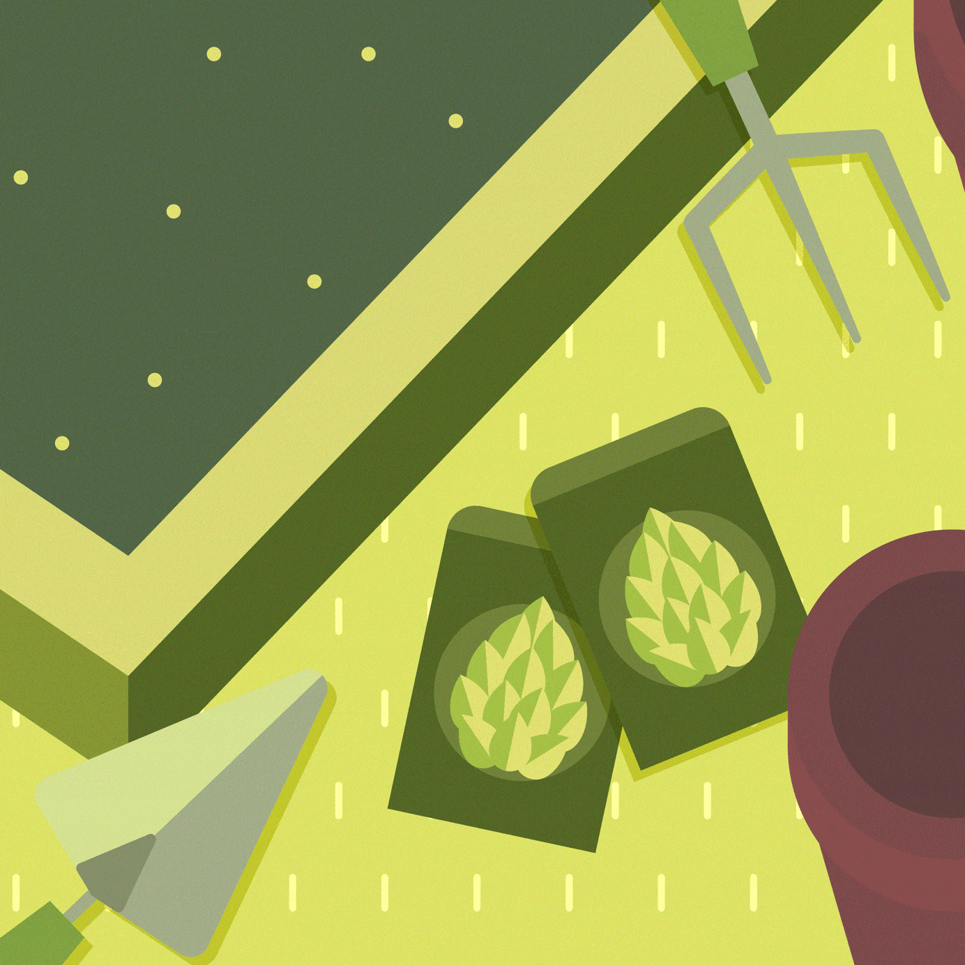 How to Grow Your Own Hops
