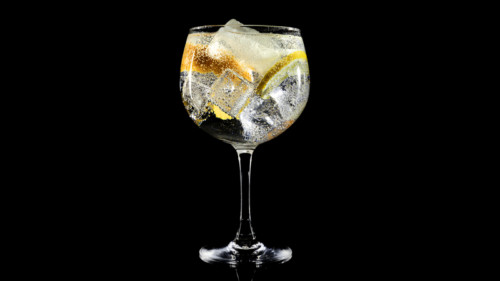 Get 25% off These Bestselling Gin & Tonic Glasses Today Only