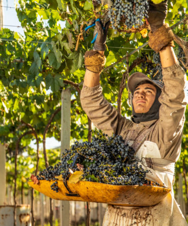 This Argentine Winery Is Putting Its People at the Front of Its Sustainability Efforts