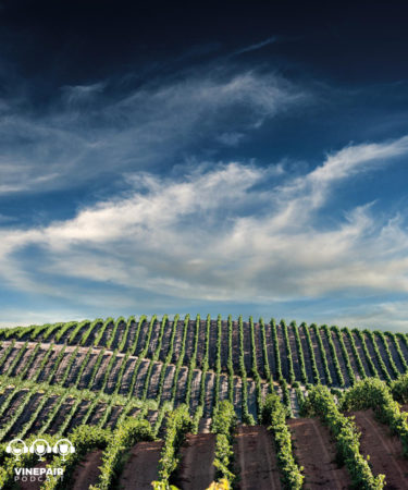 VinePair Podcast: Discovering the Fascinating Wines of Alentejo, Portugal