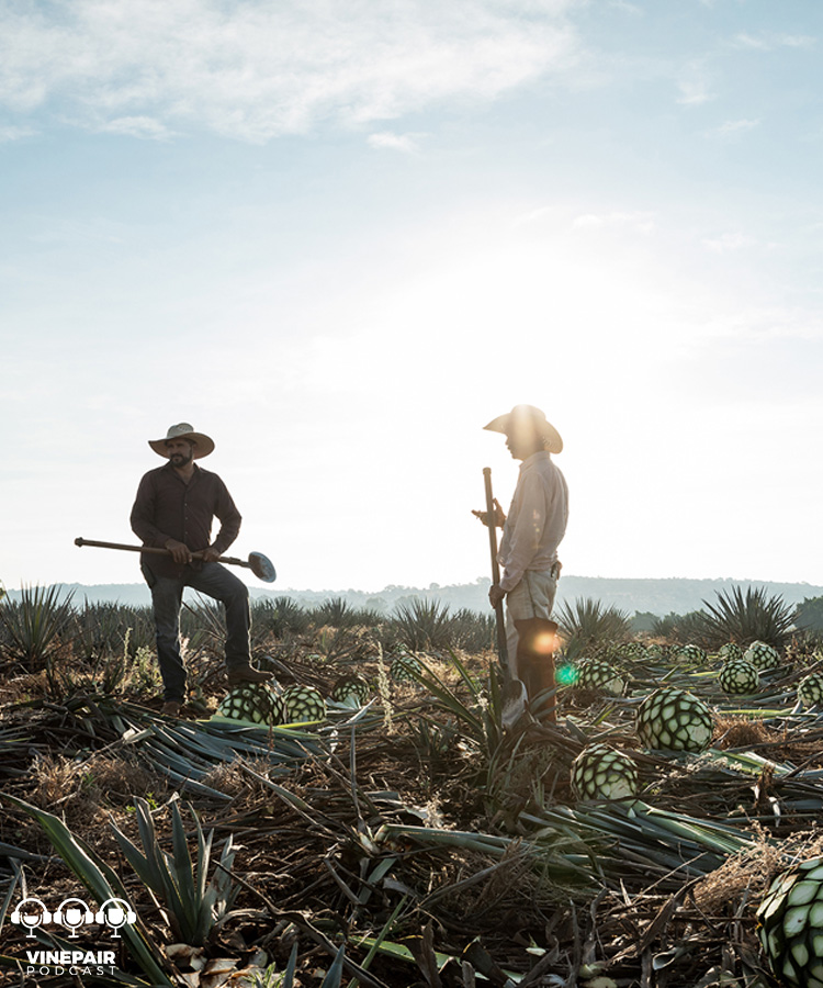 VinePair Podcast: The Magic of Single-Field Tequila