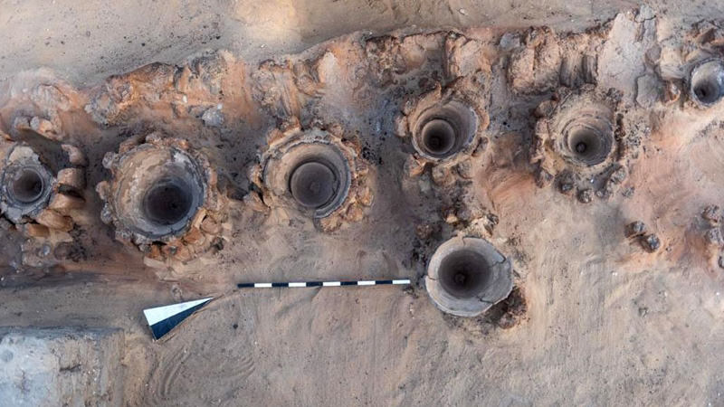 Ancient Egyptian brewery discovered
