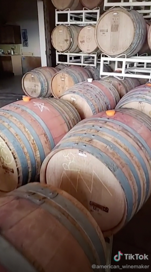 American Winemaker is is one of the best drinks accounts to follow on TikTok