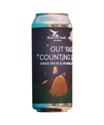 Out Back Counting Stars by Birds Fly South is one of the best collaboration beers of 2021