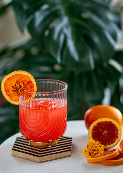 The Spicy Blood Orange Margarita is one of the best margaritas for winter