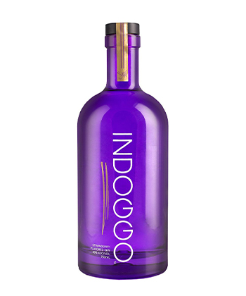 Indoggo Gin is one of the best new gins for 2021.