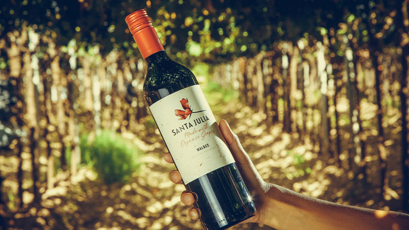 Santa Julia's Organic Malbec is produced in the heart of Mendoza, from certified organic estate vineyards.