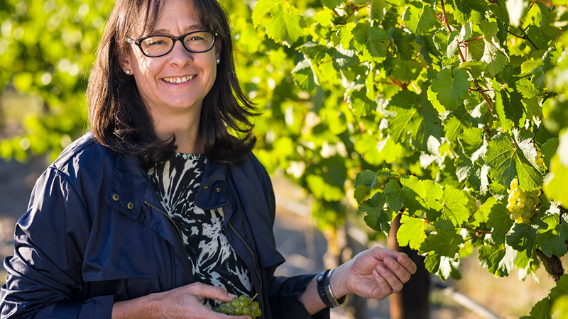 Yalumba’s wines are produced at the hands of their fiercely talented chief winemaker, Louisa Rose.