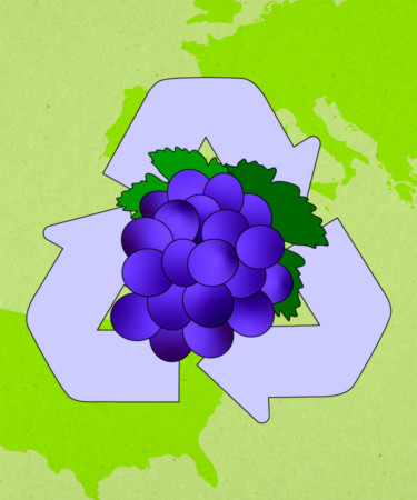 Ask Adam: Are Hybrid Grapes Better for the Environment?