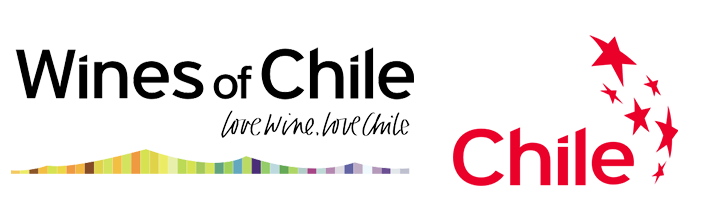 Sustainable Chilean Wine Tasting