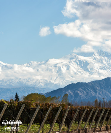 VinePair Podcast: How Chile’s Wine Industry Is Leading the Way in Sustainability