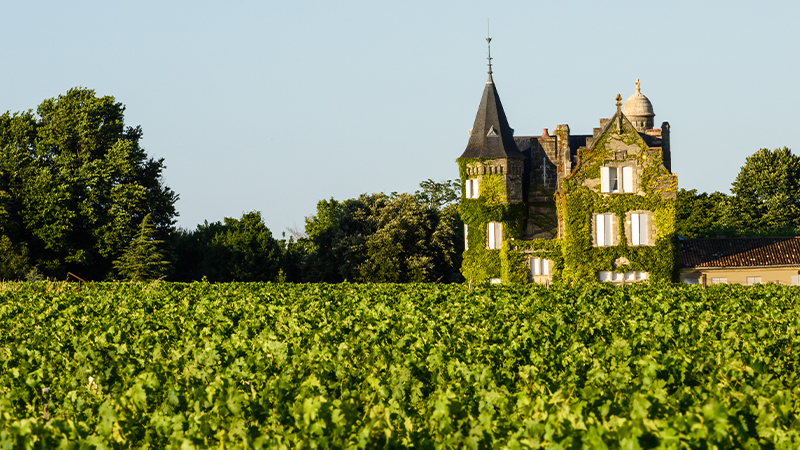 Bordeaux is one of the best wine-making regions.