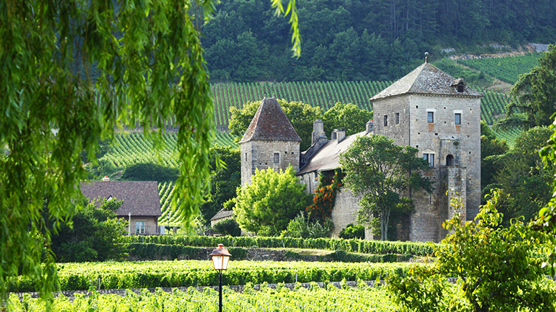 Burgundy is one of the best wine-making regions.