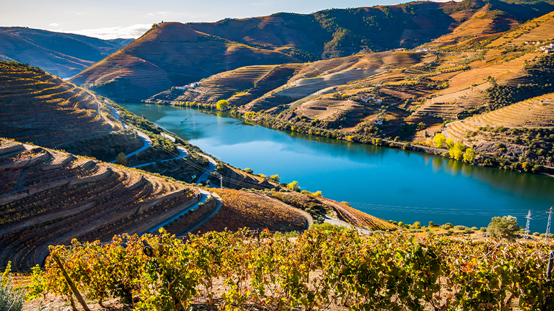 Douro is one of the best wine-making regions.