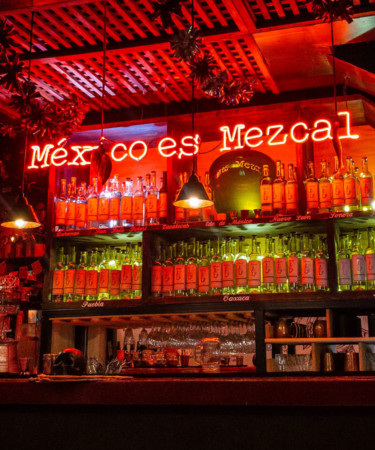 The 15 Best Mezcal Brands for 2022