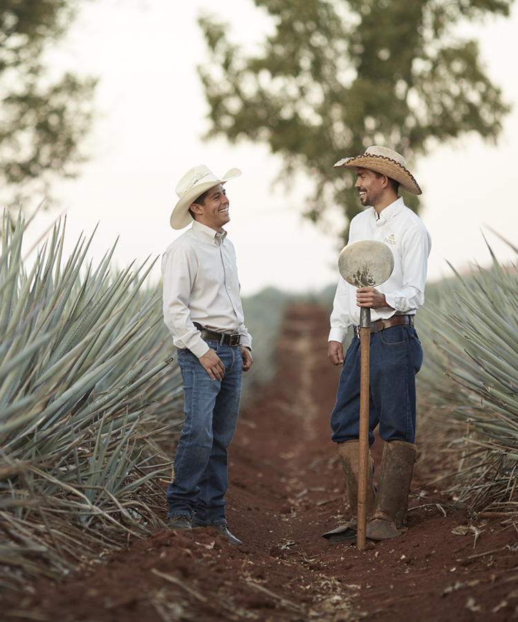 All the Shortcuts Tequila Brands Take, and How to Spot Them