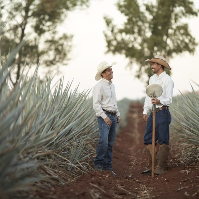 All the Shortcuts Tequila Brands Take, and How to Spot Them