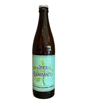 Russian River Brewing Company's Apical Dominance is one of professional winemakers' go-to beers.