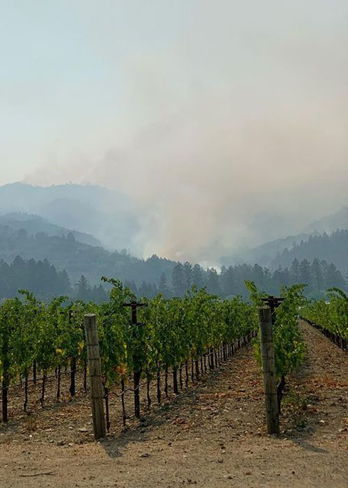 This is how California wineries are preparing for the 2021 wildfire season