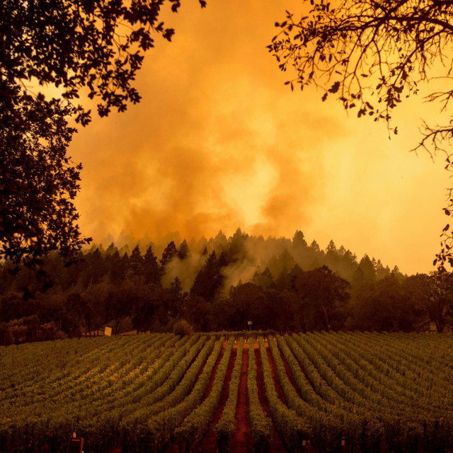 How California Wineries Are Preparing for the 2021 Wildfire Season