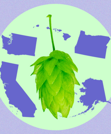 Charted: The Most Popular American Grown Hops Over the Last Half Decade
