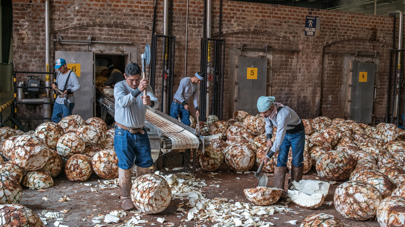 Rather than relying on mechanized milling, the agave nectar in Roca PATRÓN is worked through a massive two-ton wheel fashioned from volcanic rock.