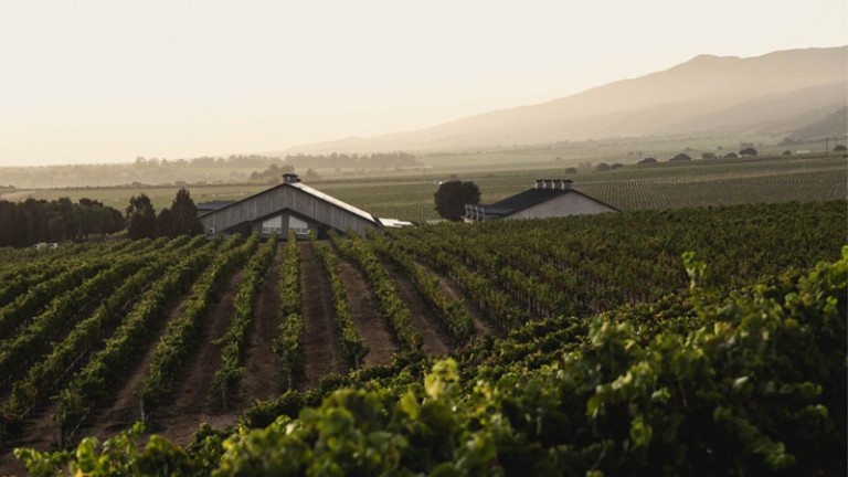 The Complete Guide To California Wine Country For 2021 | VinePair