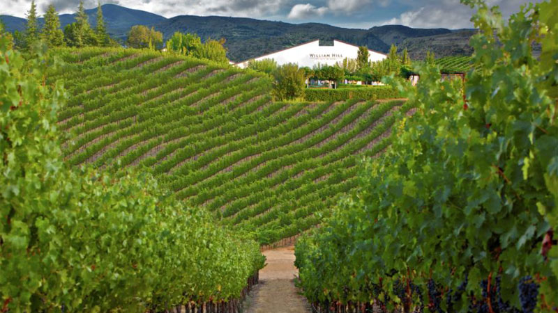 Come see for yourself how special William Hill Estate Winery truly is – surrounded by beautiful, rolling hills and vineyards for a truly unique Napa wine country experience