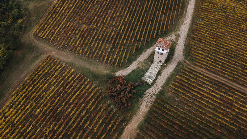 Kir-Yianni has been one of the first estates to really invest in wine tourism in Naoussa and Amyndeon, with the hopes of turning them into significant wine destinations.
