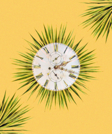 In the Agave Life Cycle, Time Means Everything