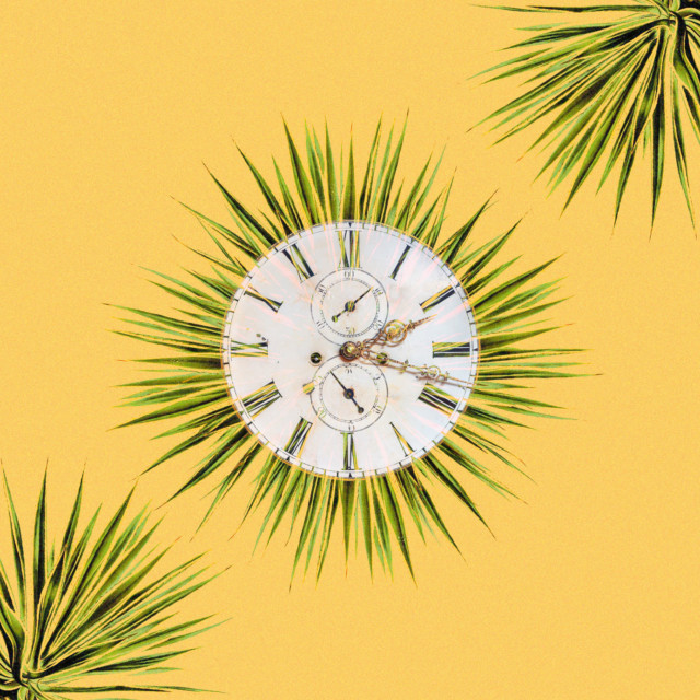 In the Agave Life Cycle, Time Means Everything