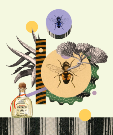The Secret Life of Bees and The Role They Play in Tequila