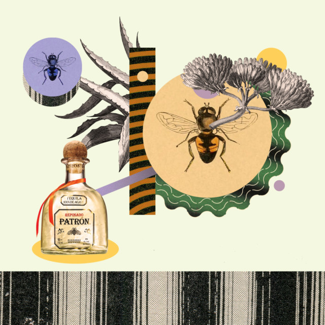 The Secret Life of Bees and The Role They Play in Tequila