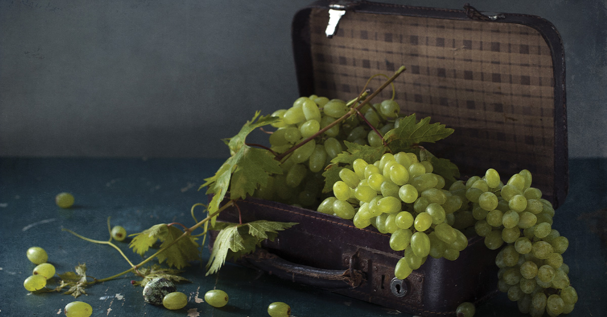 How to Pack Wine Successfully in a Suitcase When Traveling