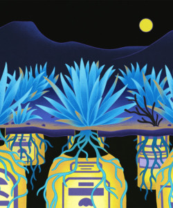 Agave Activists Are Working to Preserve Mexican Lands as Tequila and Mezcal Boom