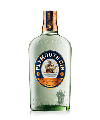 Plymouth is one of the Best Gins For Martinis (2021)