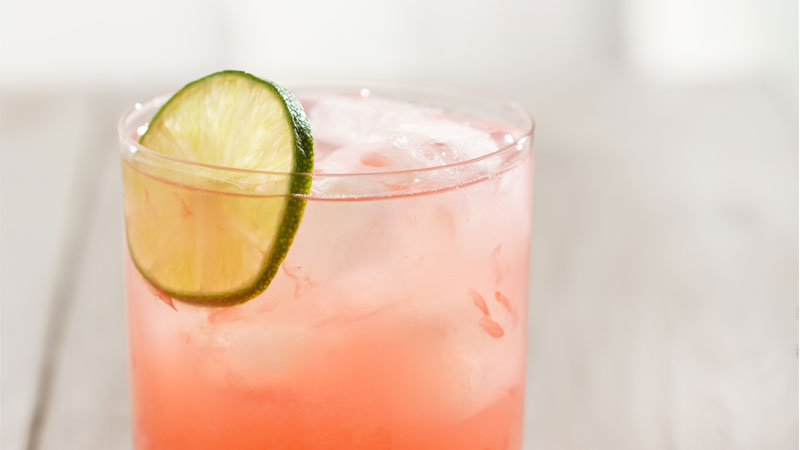 What you need to know about the Paloma.