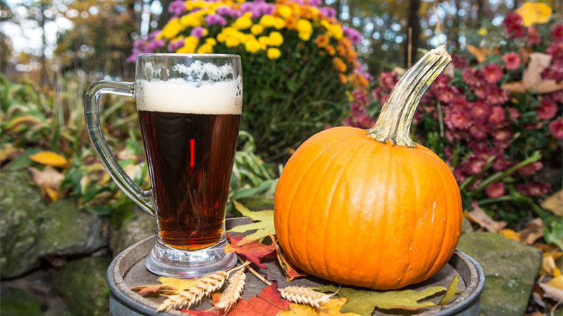 Brewing pumpkin beer at home is more complex than you might think.