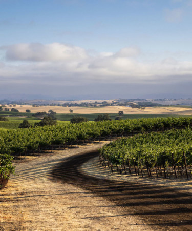 How Paso Robles Is Taking Sustainable Wine to the Next Level