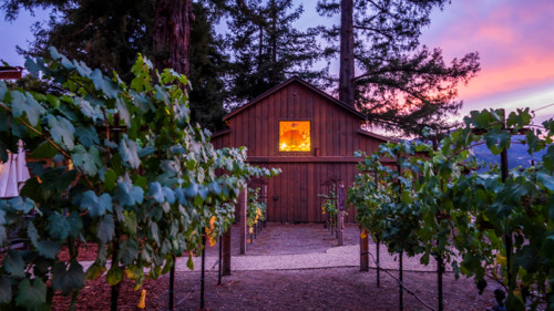 Tradition Meets Innovation At Sequoia Grove Winery | VinePair